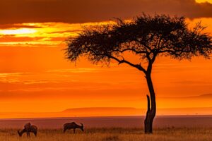 Kenya