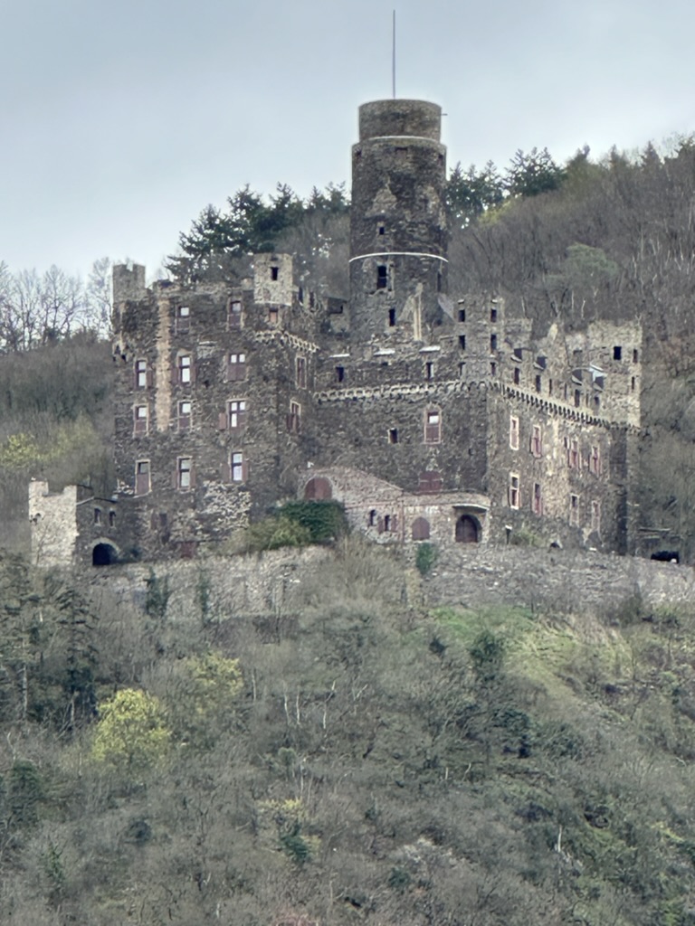 rhine river gorge, river cruise