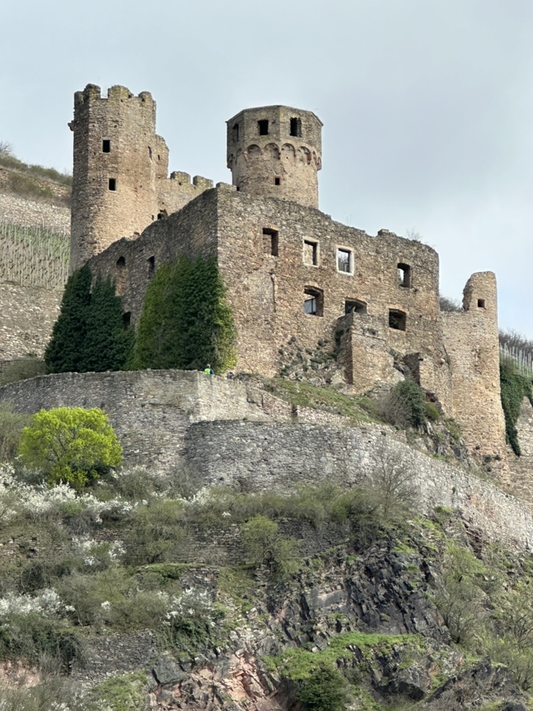 rhine river cruise, AMAWaterways, castles,