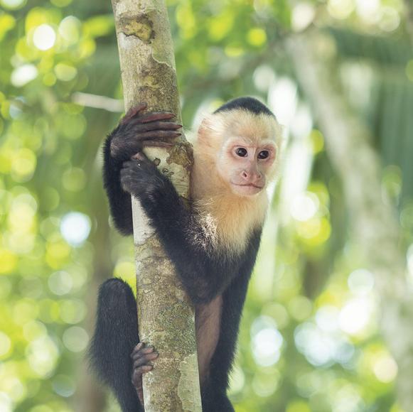 Costa Rica Travel