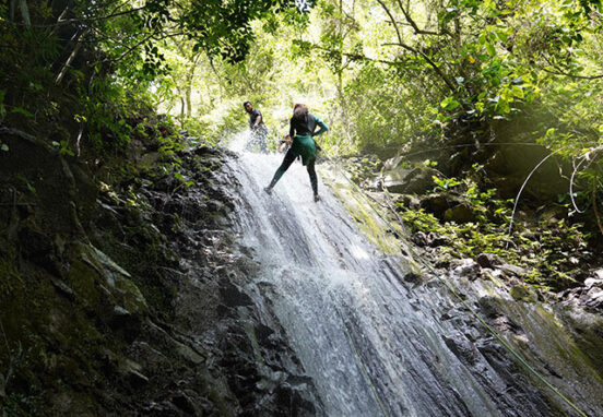 Amazon jungle, Ecuador