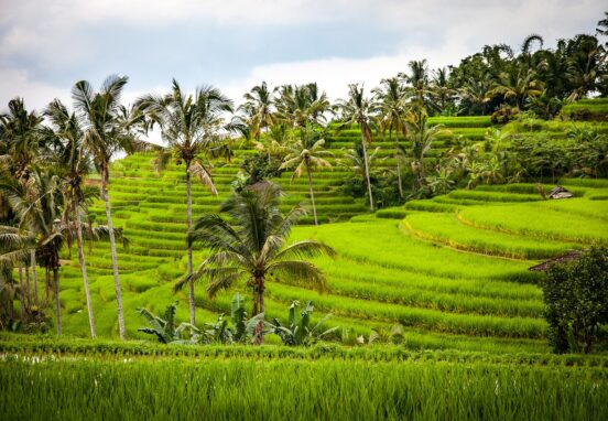 BALI, HOT DESTINATIONS
