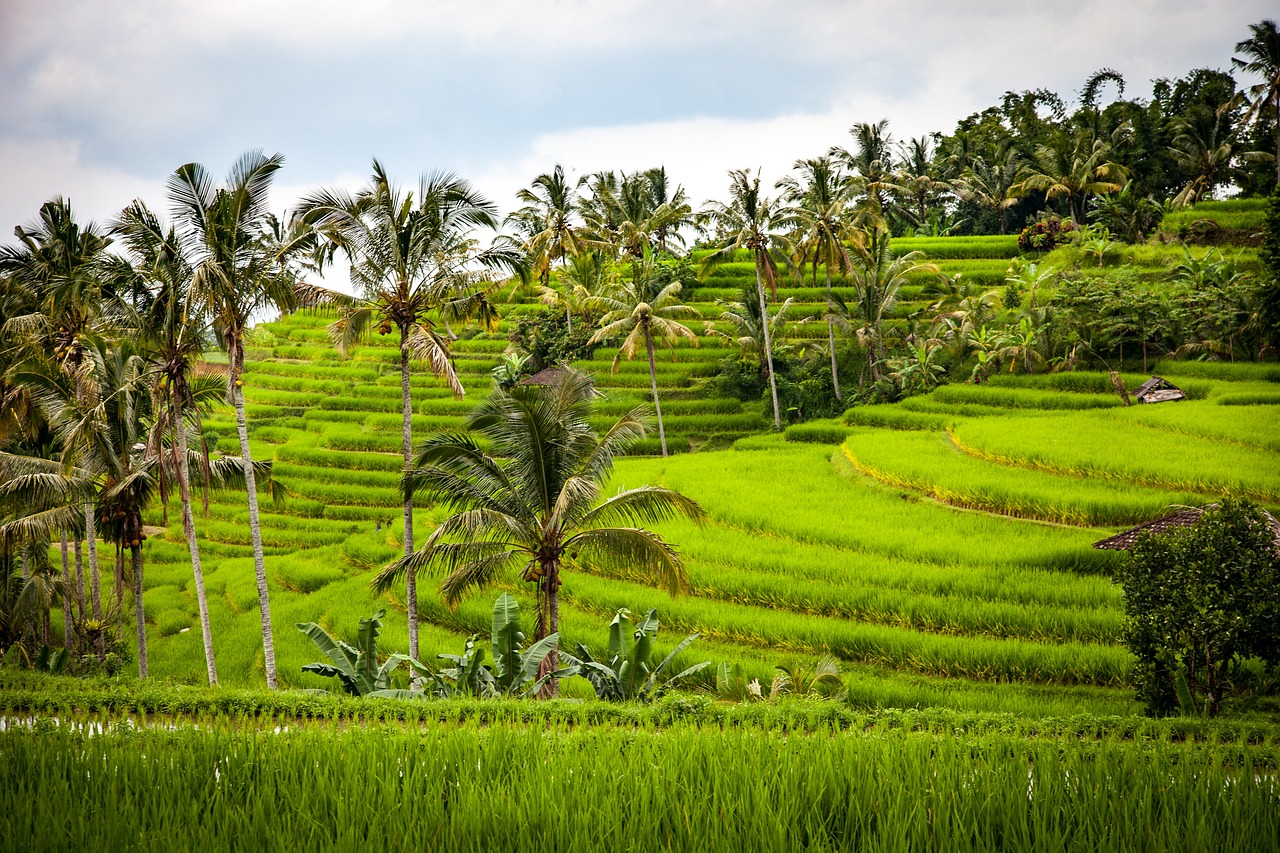 BALI, HOT DESTINATIONS