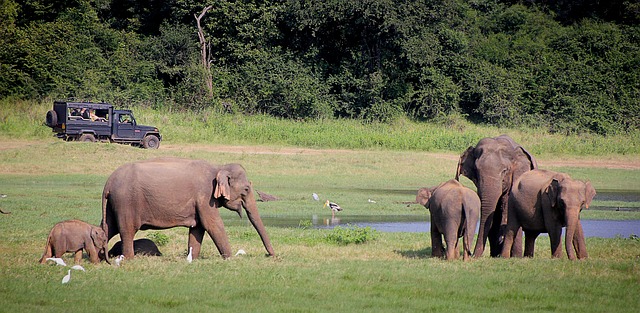 family travel, multi-generational travel